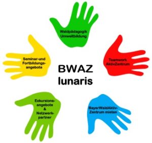 Logo BWAZ